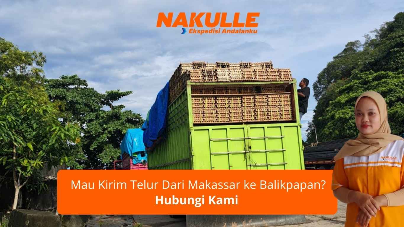 jasa pengiriman telur Makassar Balikpapan